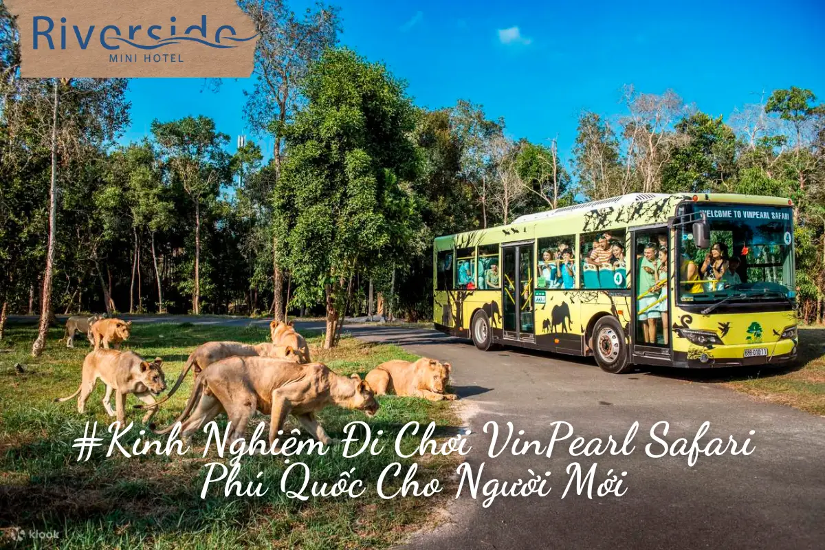 #Kinh Nghiệm Đi Chơi VinPearl Safari Phú Quốc Cho Người Mới