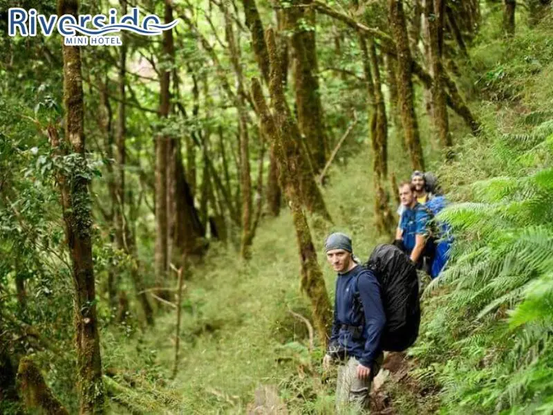 Trekking rừng nguyên sinh