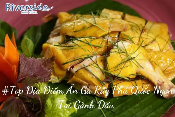 #Top Địa Điểm Ăn Gà Rẫy Phú Quốc Ngon Tại Gành Dầu 