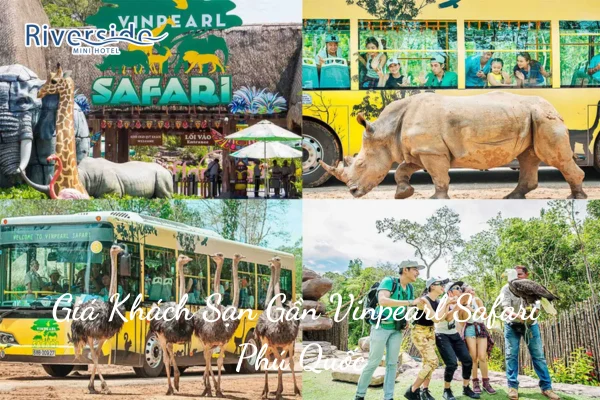 Giá Khách Sạn Gần Vinpearl Safari Phú Quốc