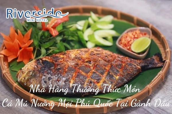 Nhà Hàng Thưởng Thức Món Cá Mú Nướng Mọi Phú Quốc Tại Gành Dầu