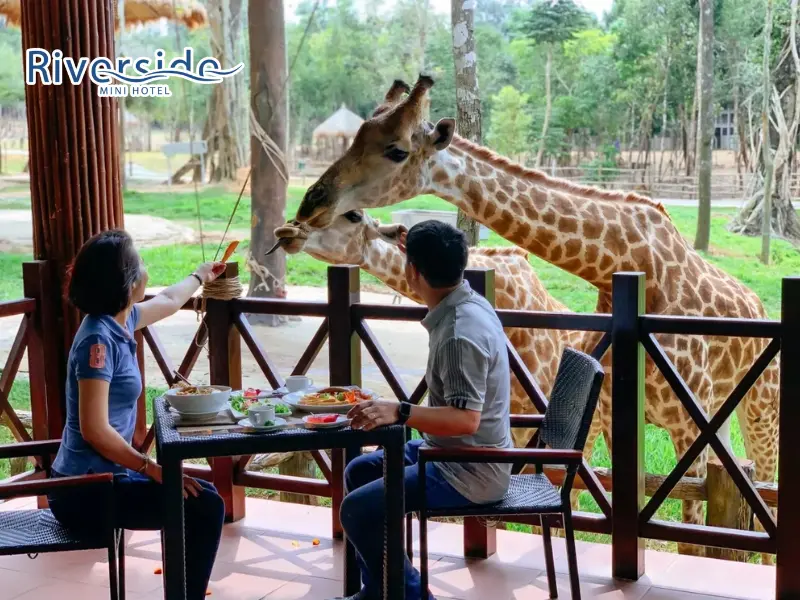 Nhà hàng hải sản Giraffe