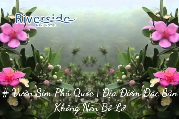 # Vườn Sim Phú Quốc | Địa Điểm Đặc Sản Không Nên Bỏ Lỡ