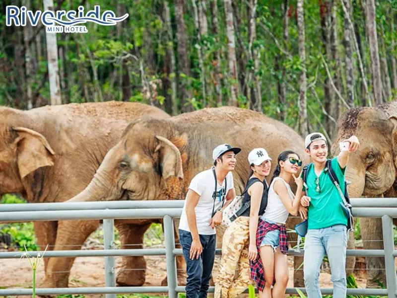 Vinpearl Safari Phú Quốc